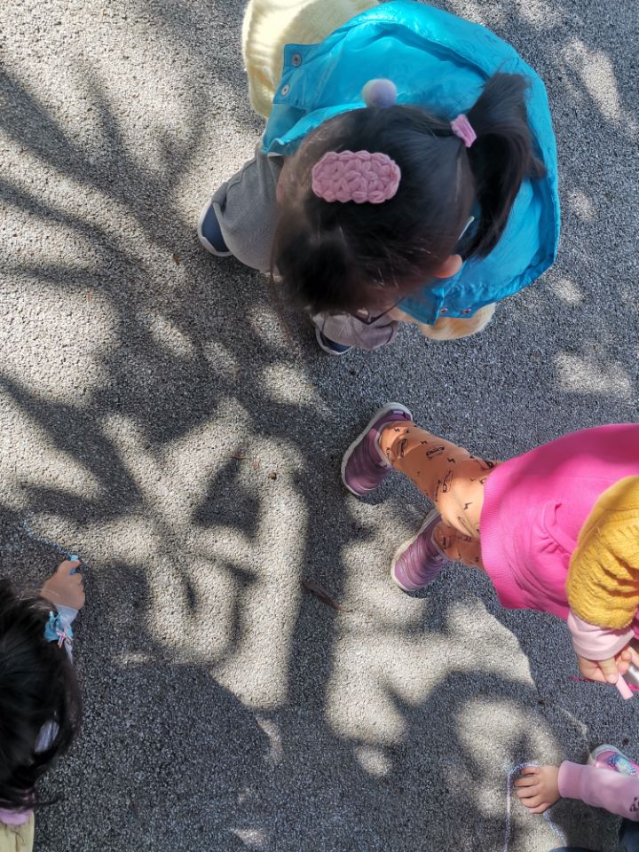 2021年3月自发性观察《影子在哪里》