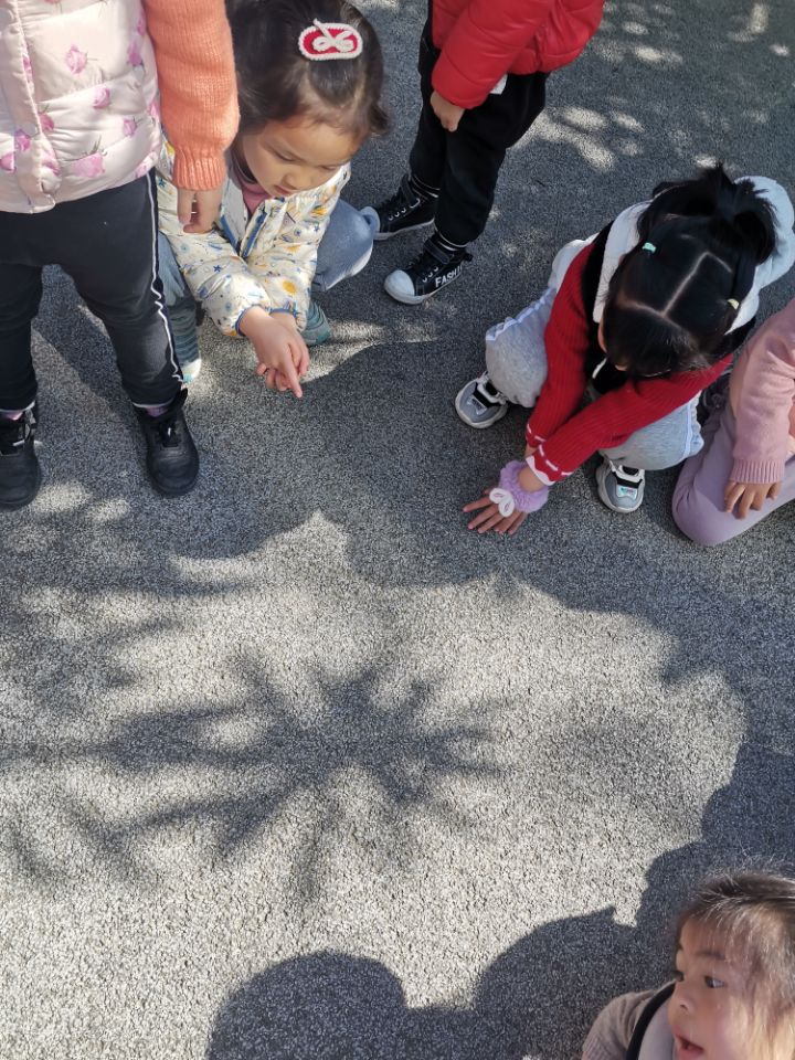 我的小影子太可爱啦