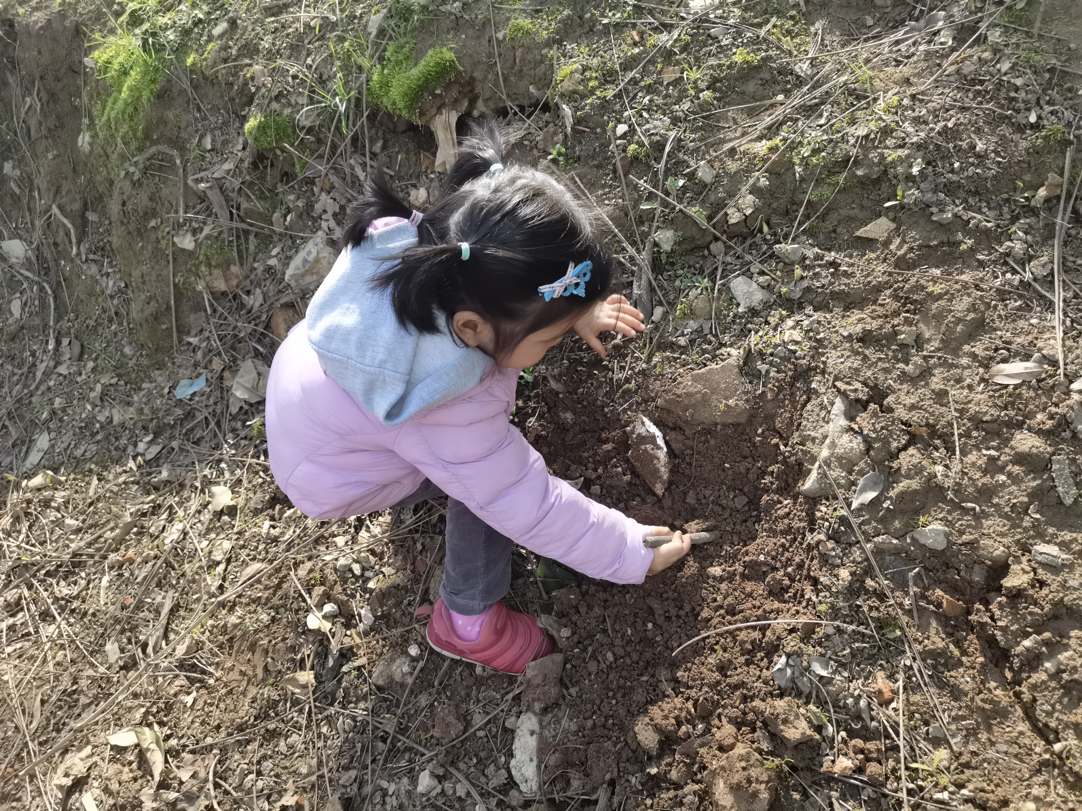 我们小山坡那里去找找有什么好宝贝吧~~今天我们的宝贝们一起去玩泥土