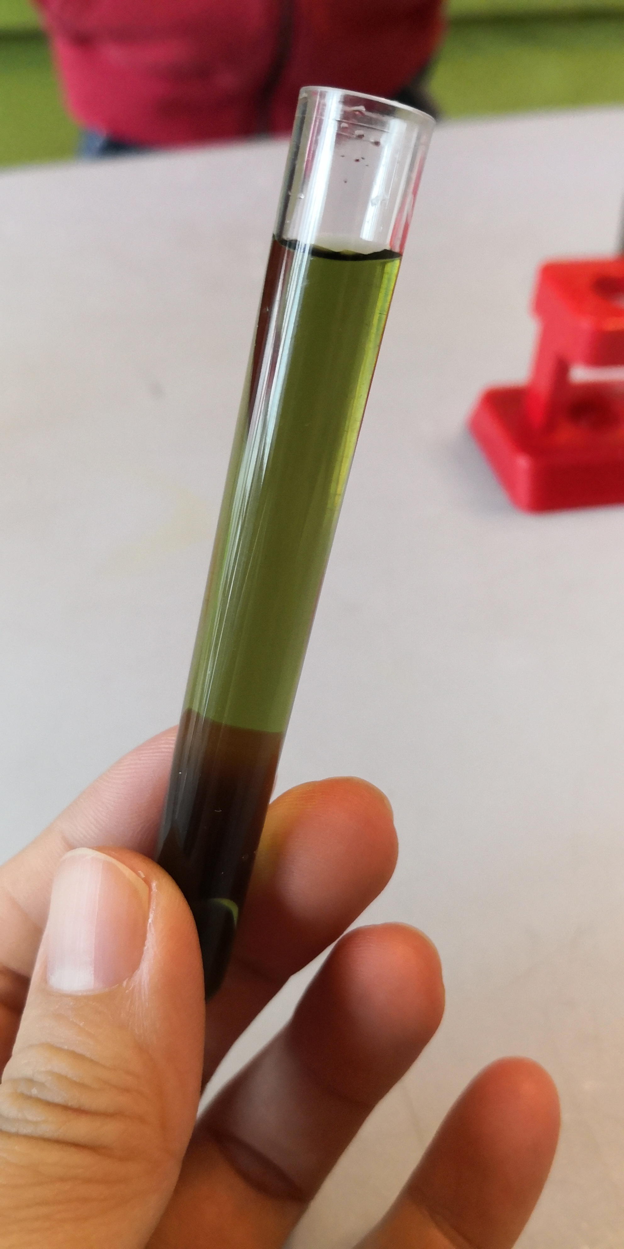 堵住试管口,用手用力摇晃一下,漂亮的彩虹水变成黑色了,因为红黄蓝