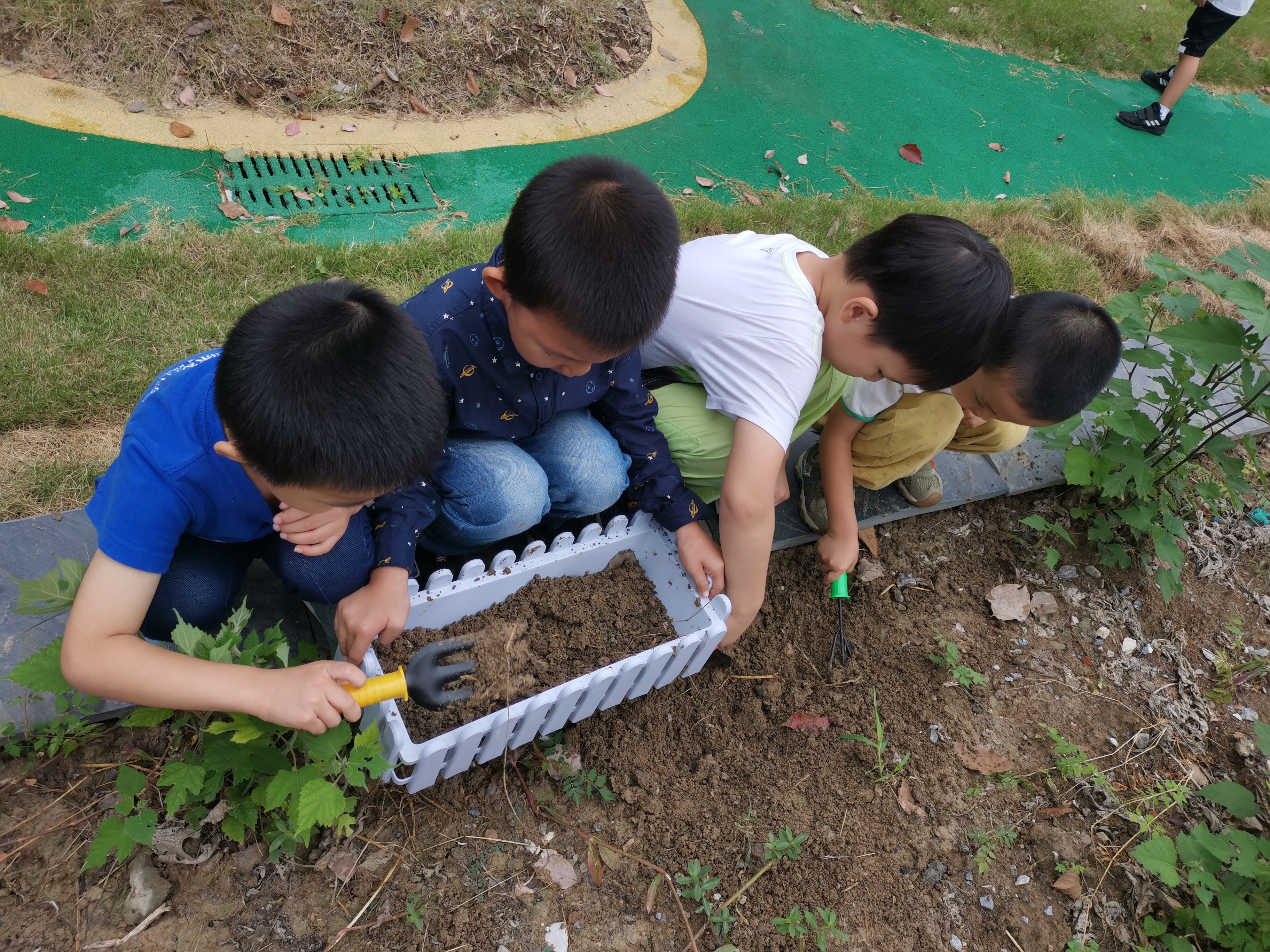 2020年9月 挖土种菜啦!