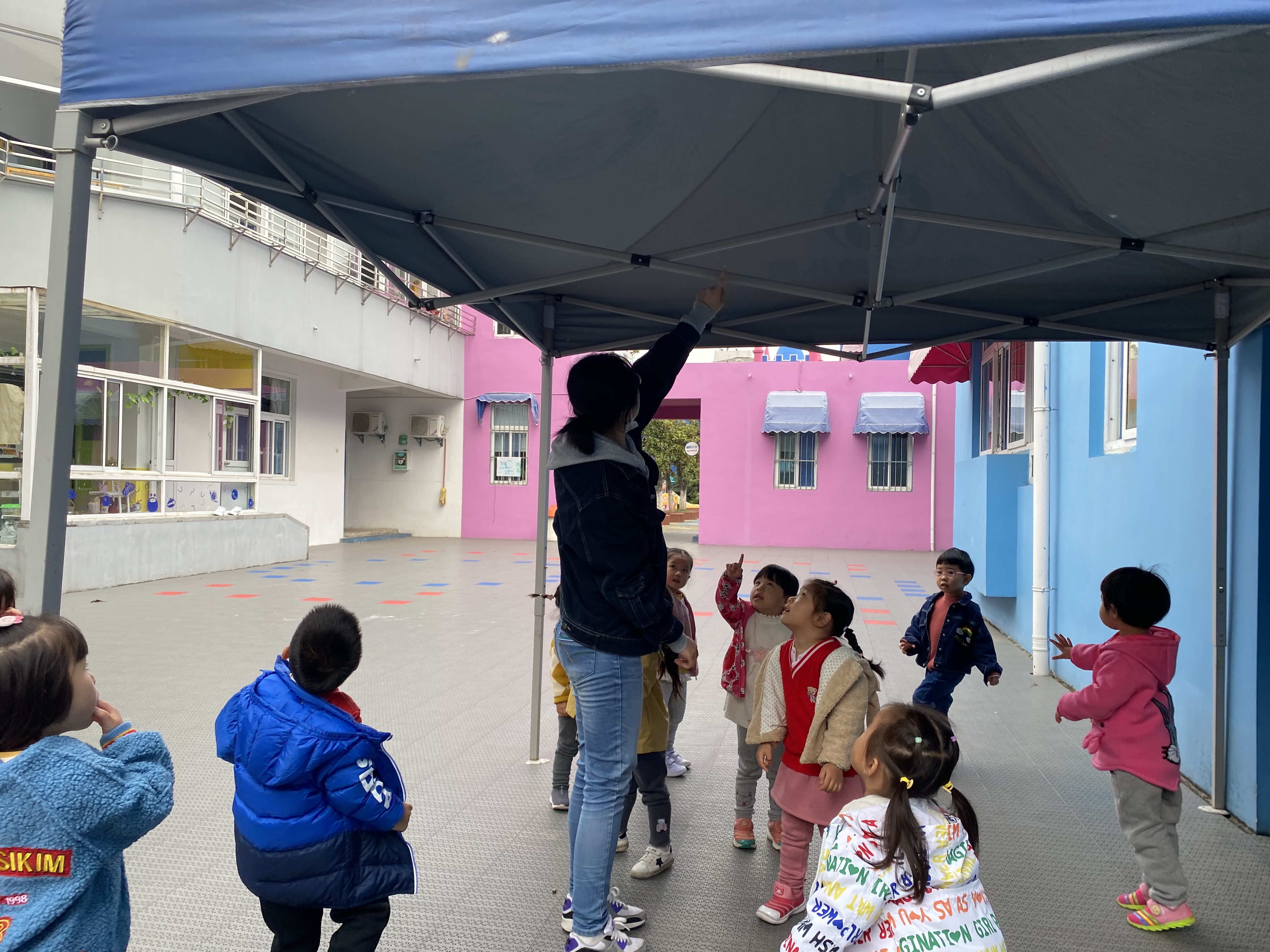        今天幼儿园的小发现就到此